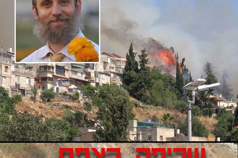 דע את זכויותך: מדריך לנזקי השריפה • יוסי רייניץ