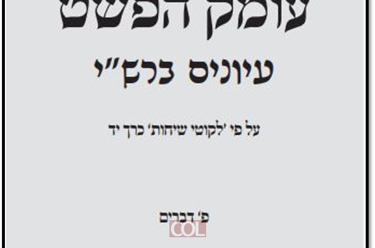 'עומק הפשט' • הרב מנחם מענדל רייצס