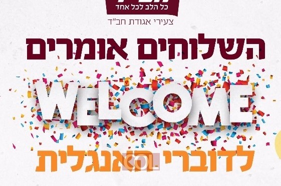 צעירי חב