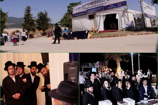 פעילות עניפה של חב