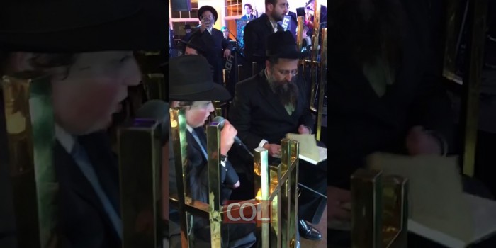 אמירת המאמר של לייזר הלפרין