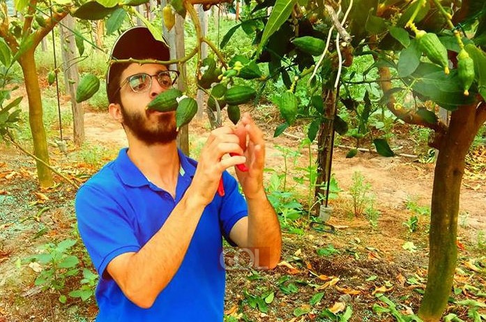 תמונת היום ● קלבריה