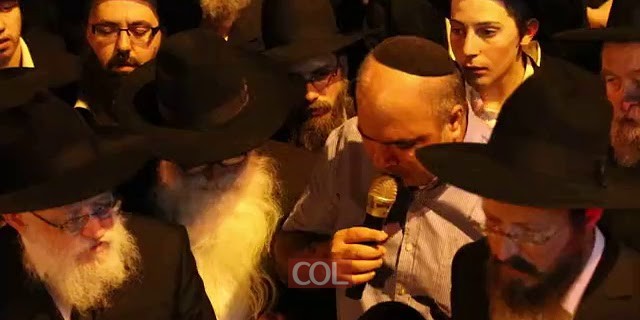 נציג השכונה