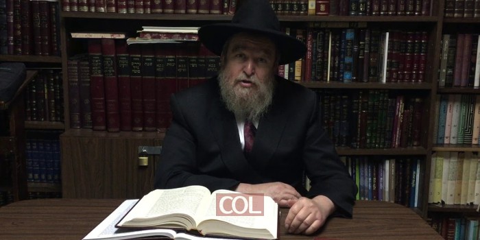 עשה לך רב - הרב אליעזר ברוד