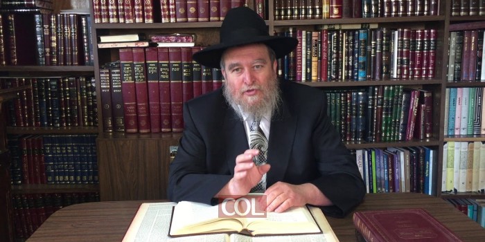 עשה לך רב - הרב אליעזר ברוד