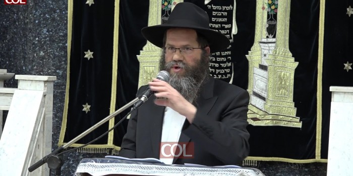 הרב