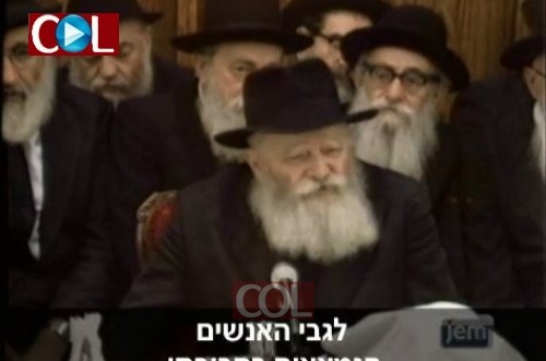 העולם אינו ג'ונגל: 