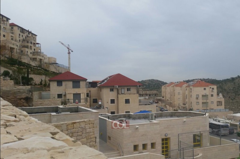 והתנחלתם את הארץ בגורל • טיפים לנרשמי הגרלת מחיר למשתכן