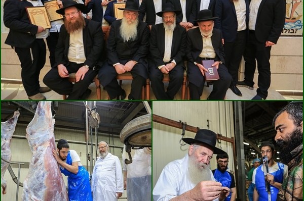 חלוקת תעודות הסמיכה והשחיטה במכון ר