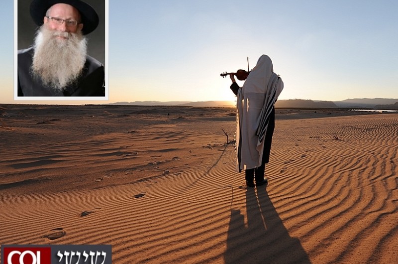 דווקא 'מטה' המקל היבש והנוקשה גורם לרכות • טור חינוכי 
