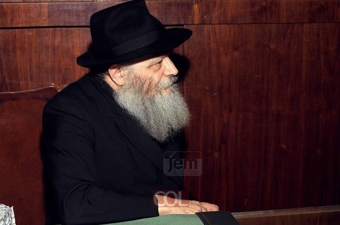 רצוננו לראות את מלכנו • התמונה השבועית של הרבי