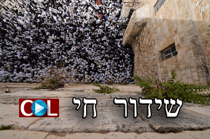 זָכְרָה יְרוּשָׁלִַם: אמירת קינות בכותל המערבי ● שידור חי