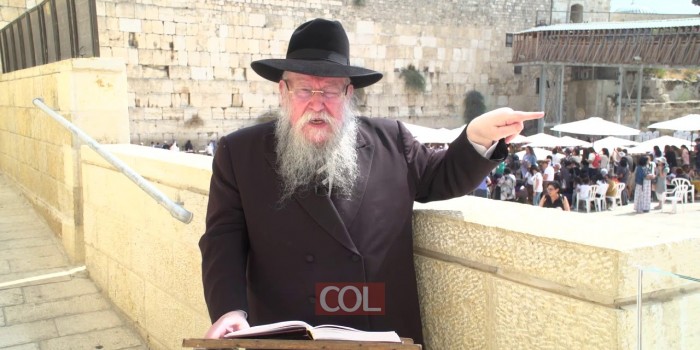 הרב בוטמן פרשת נח   עברית