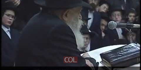 כב שבט תשנב