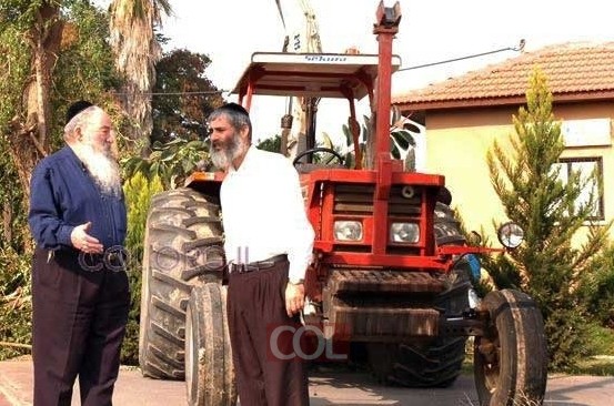 הרה