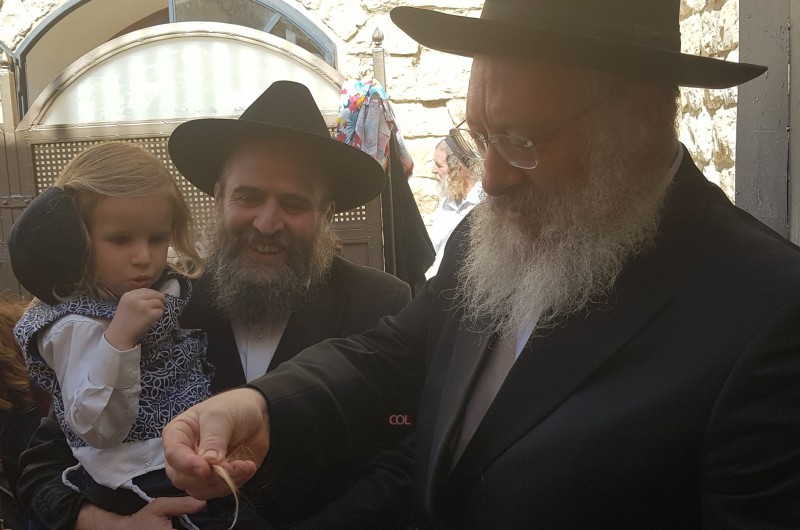 שמחות במשפחת השלוחים: ערד ובני ברק נפגשו במירון