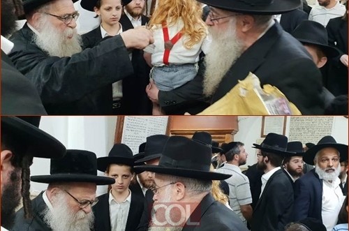 תמונת היום 