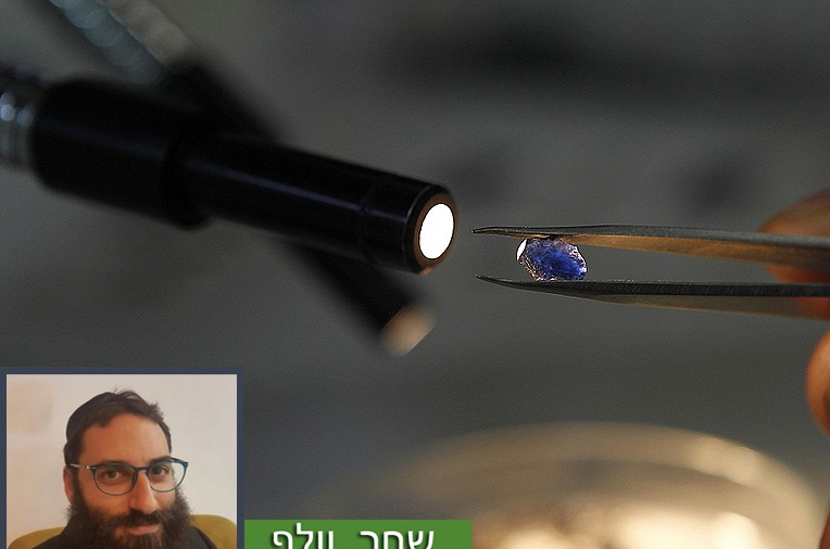 שאלת המליון: מזומן או אשראי? • כַּלְכָּלָה מְכֻוֶּנֶת 