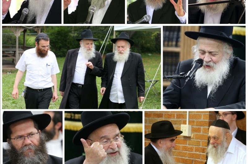 הצמרת התורנית של חב