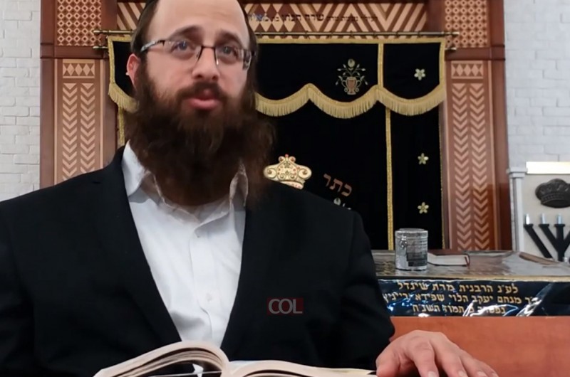 הרב מ