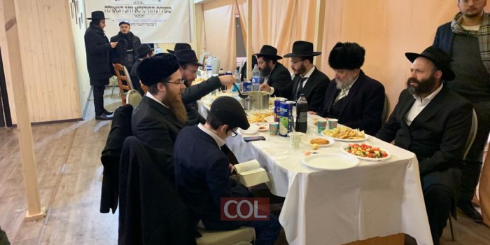  לכבוד יום ההילולא וחג הגאולה: שלוחים ואנ