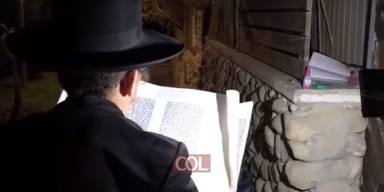 מרגש:  חסידי חב