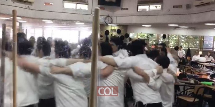 'יצאו מהניילונים', וכעת הם רוקדים: איחוד 'קפסולות' בתות