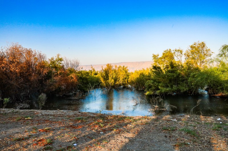 מונדיאל בדרום אפריקה: מאות מניחים תפילין בדוכני חב