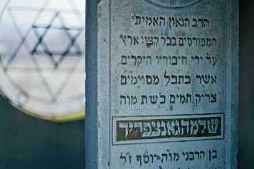 יחס רבותינו נשיאנו ל