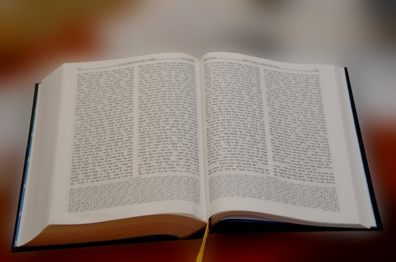 'תורונה': המיזם הייחודי ללימוד הרמב