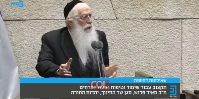 סגן השר מאיר פרוש בכנסת: 