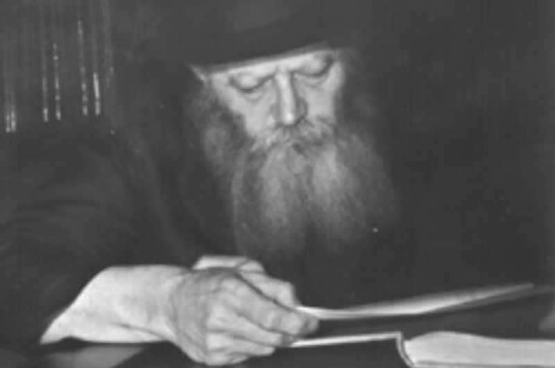 החסיד שיחזר: 
