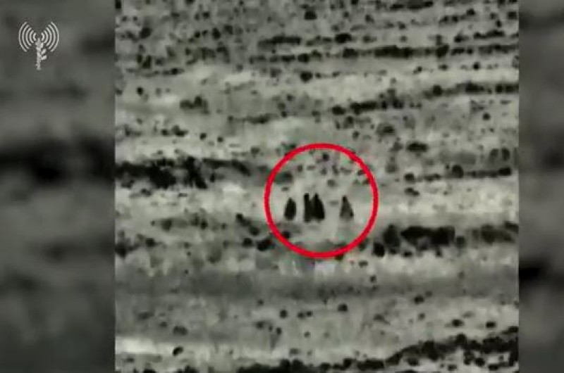 הניחו מטען על הגדר וחוסלו: כך סוכל הפיגוע בגבול עם סוריה