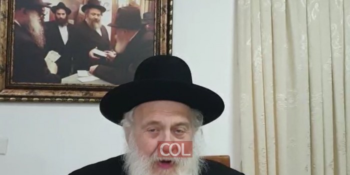 הרב ירוסלבסקי: יש שתי מפלגות שראוי להצביע להם - אגו
