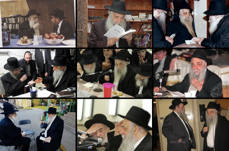 אבידה שאין לה תמורה: רגעים מחייו של הגה