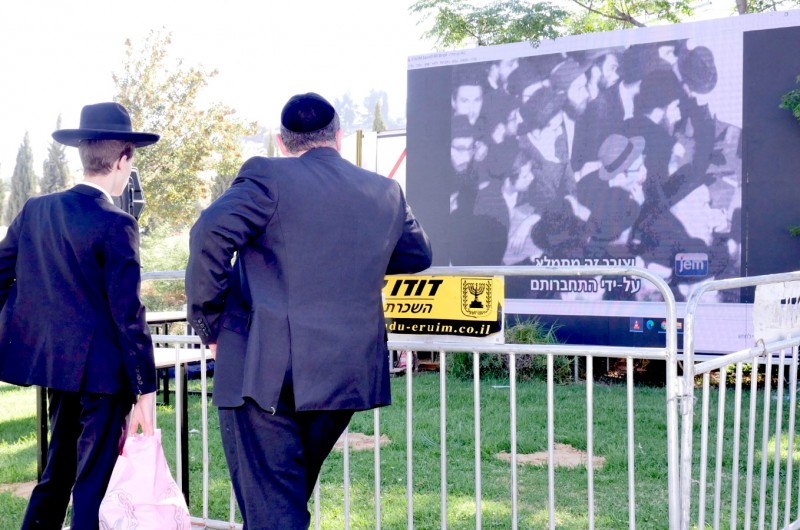 פעילות חב