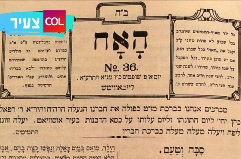 למעלה מ-5000 מנויים | עיתון הילדים החב