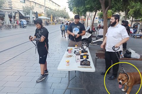 הפרסומאי התלהב: 