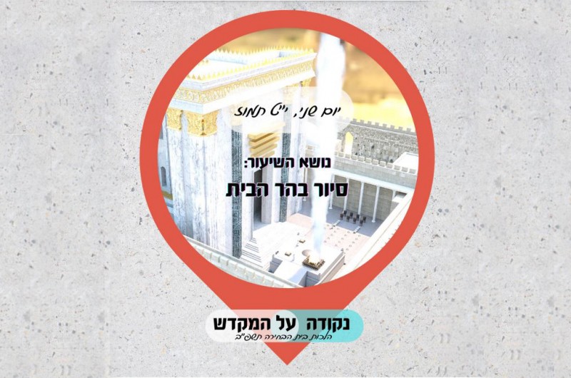 נקודה על המקדש: סיור בהר הבית