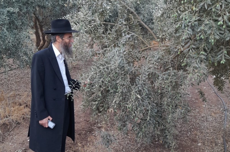 השליח הרב רפאל לוינסון, רב מושב תל עדשים ומנהל קרן המעשרות חב