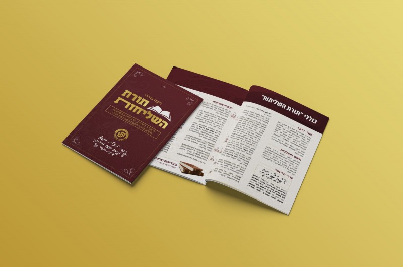 נחשפו פרטי התוכנית המהפכנית של כוללי תורת השליחות!