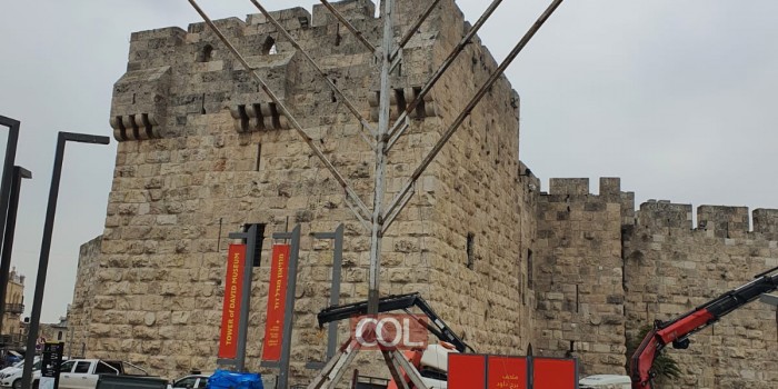  צעירי חב