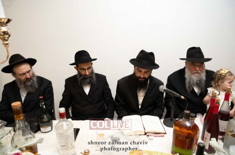 חגיגת הלחיים של ונונו מקרית גת ואליאב מקראון הייטס • צפו