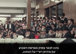 הרבי מליובאוויטש | פרשת שמות • מעשיו של עם, סבלותיו של שבט