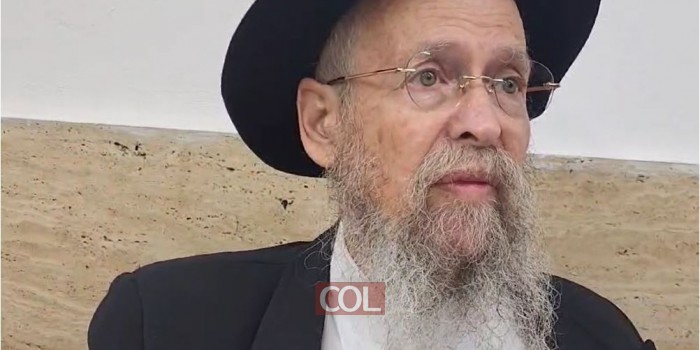 הקונספציה של המרגלים: 
