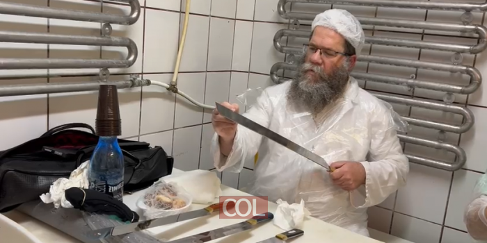 הרב מאיר אשכנזי מרא דאתרא כפר חב