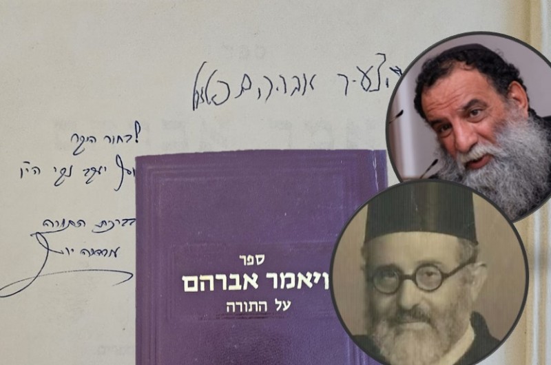 הרב החב