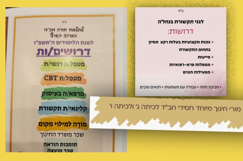 צו השעה: הכשרה לחינוך מיוחד ולמקצועות פרא-רפואיים 