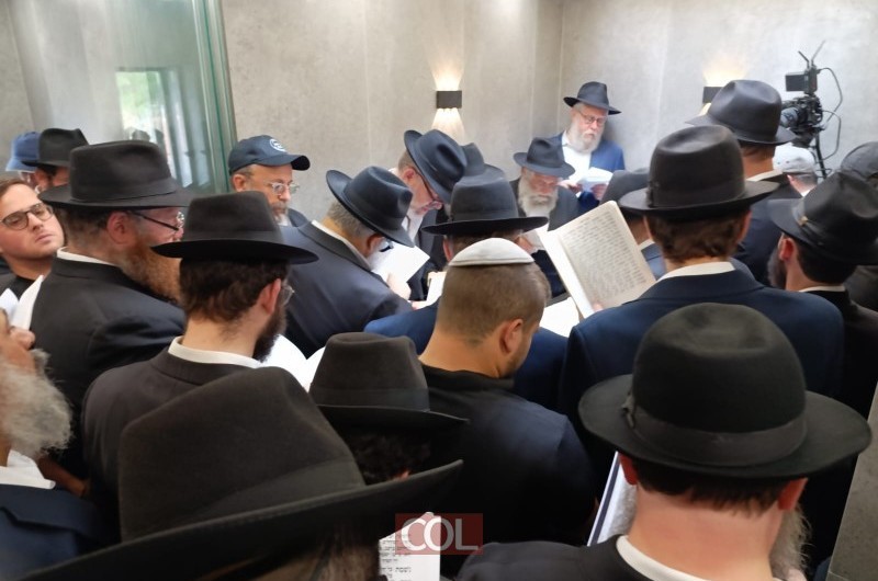 בשורה למשפחת 'תפארת זקנים לוי יצחק': הגרלת 20 כרטיסים לצ'ארטר