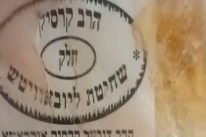 משגיח רבנות הפיץ: 